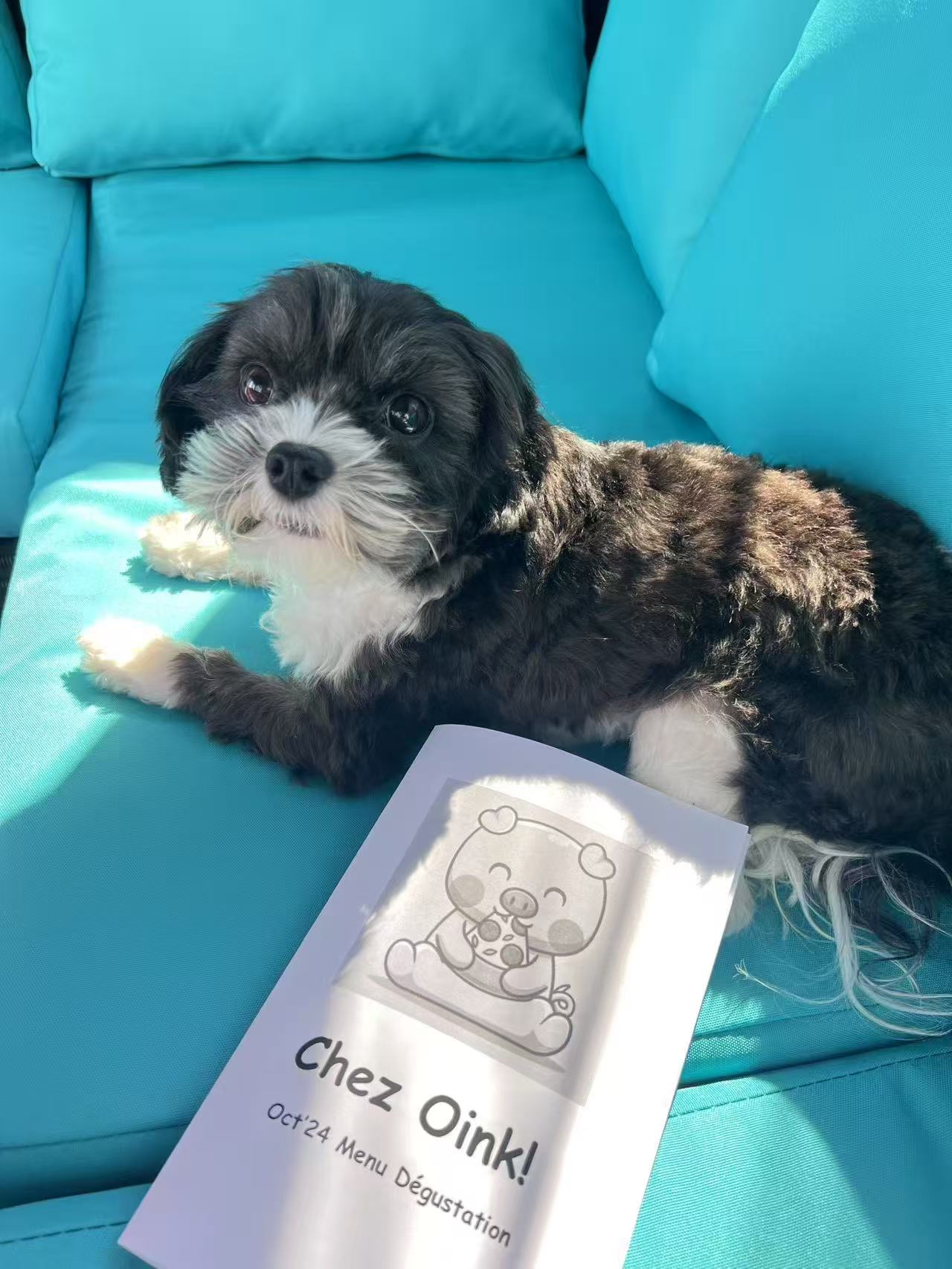 Max’s Dad · 🐶